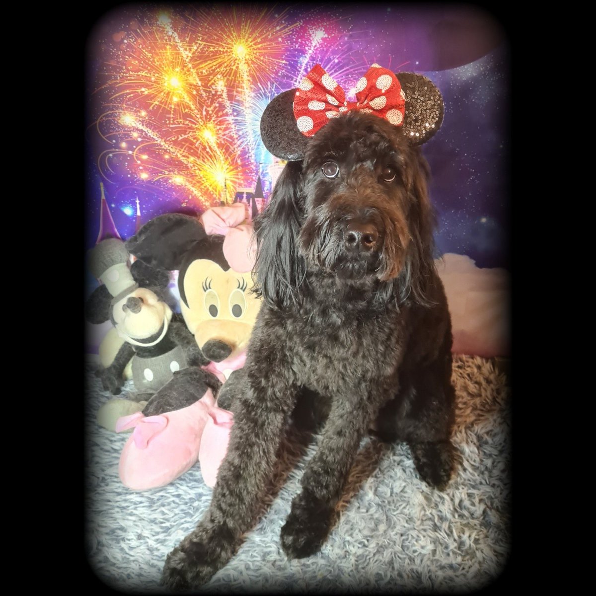 AgathaBaurvm0r's tweet photo. Truffles https://t.co/SX63BPm91k