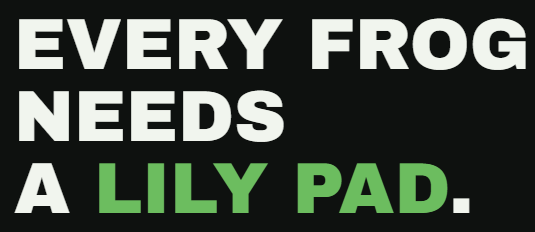 LilyPadCash's tweet photo. LilyPad is now live on https://t.co/sqARwSqzx8

Launching $LILY soon on https://t.co/26FxcEMJcE

Time to revive the 2024 frog meta with low fees and unlimited launch options RWA's, meme pairs &amp; sol pairs https://t.co/4FoA0308sN