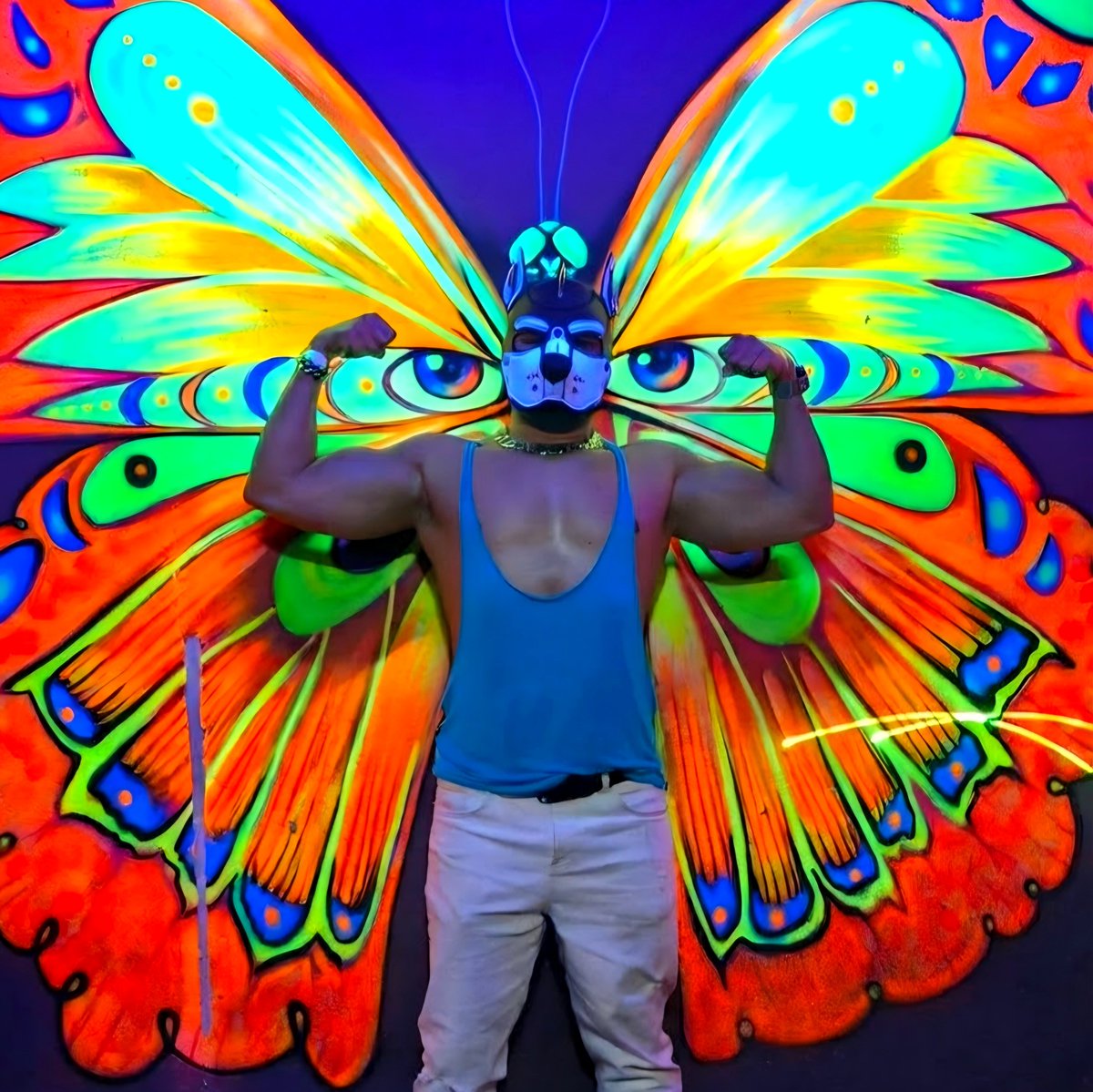 _cyberpup_'s tweet photo. Soy un puppy mariposa. 🐺🦋 https://t.co/uctggPXl9B