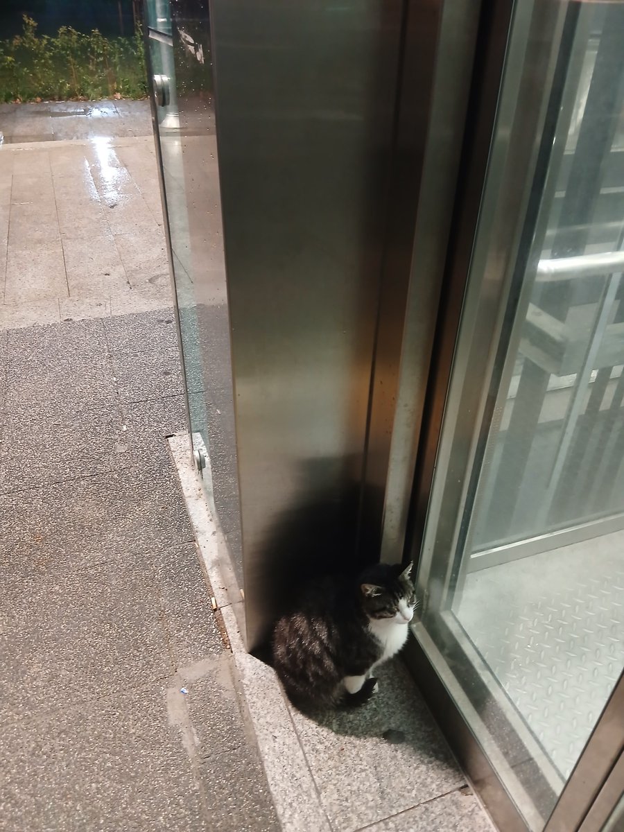 sadecesevilmek0's tweet photo. Seni eve götürmek istiyorum https://t.co/eB0BcblaxO
