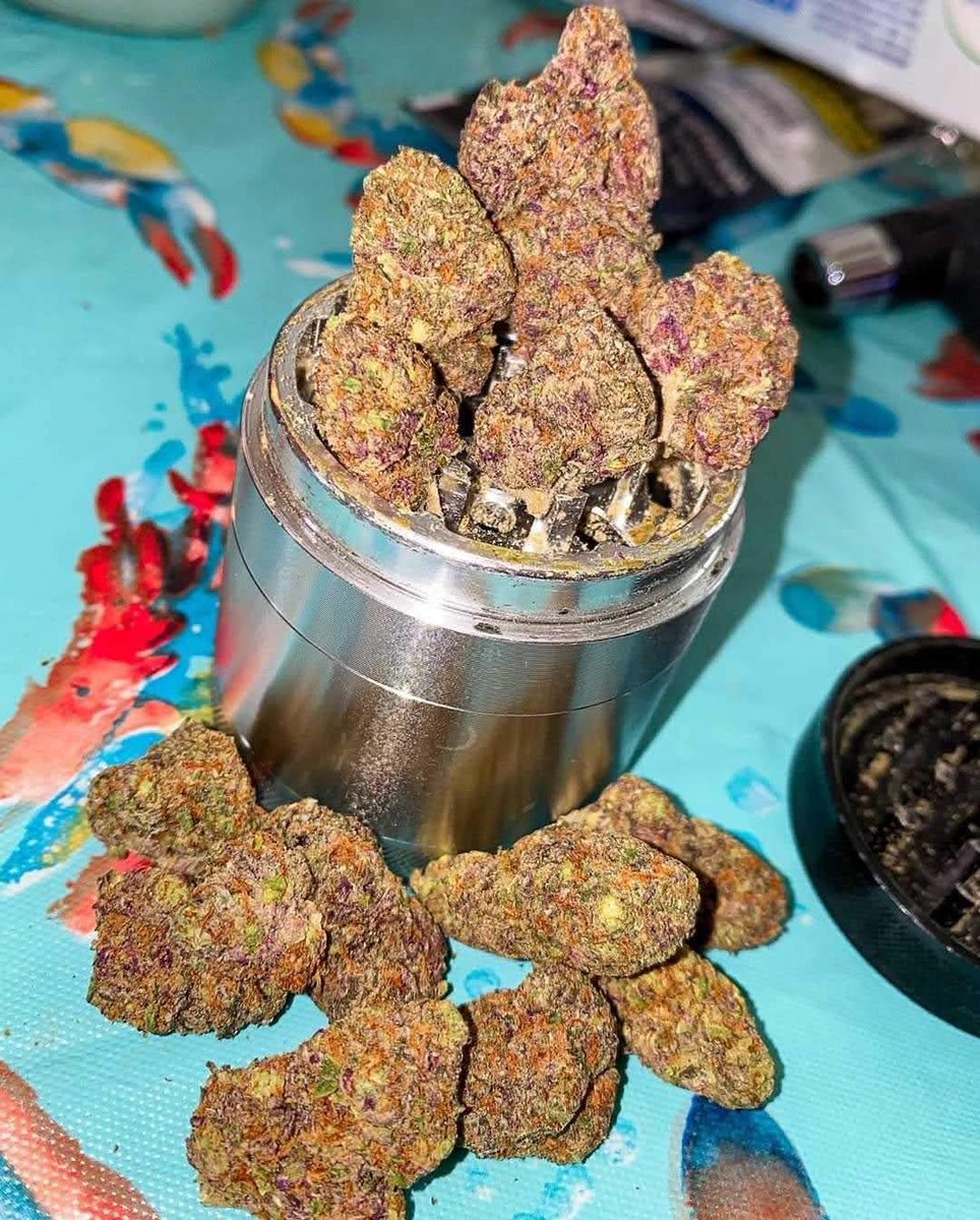 Maui_exotics's tweet photo. Who else bout to roll 🔥
Bag open. Grinder packed. Purple already talking.
#Cannabis #PurpleBuds #RollUp #StashPic #BudPorn https://t.co/KYmXEyOajB