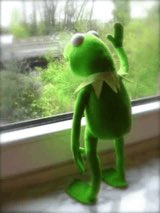 farawayy_009's tweet photo. @truenihilistic Yes, now where are you 😞 https://t.co/FnjsCbCVyD