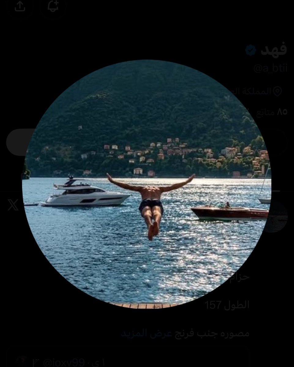 _VV8ko's tweet photo. @a_btii وطائر النورس ذا من فرمه؟ https://t.co/73s9GLrtQB