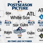 Photo by Matt Windle (@Matt_Windle)