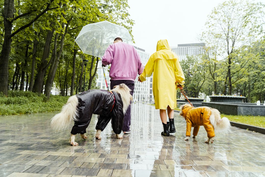 Petworldcart's tweet photo. Rain or shine, walks must go on! A bright dog raincoat keeps your pup dry and stylish even on soggy days.

Does your dog love puddles or avoid them?

Gear up at https://t.co/pvRksQy2HT

#DogFashion #RainyWalks https://t.co/3Ibe4VvIvw
