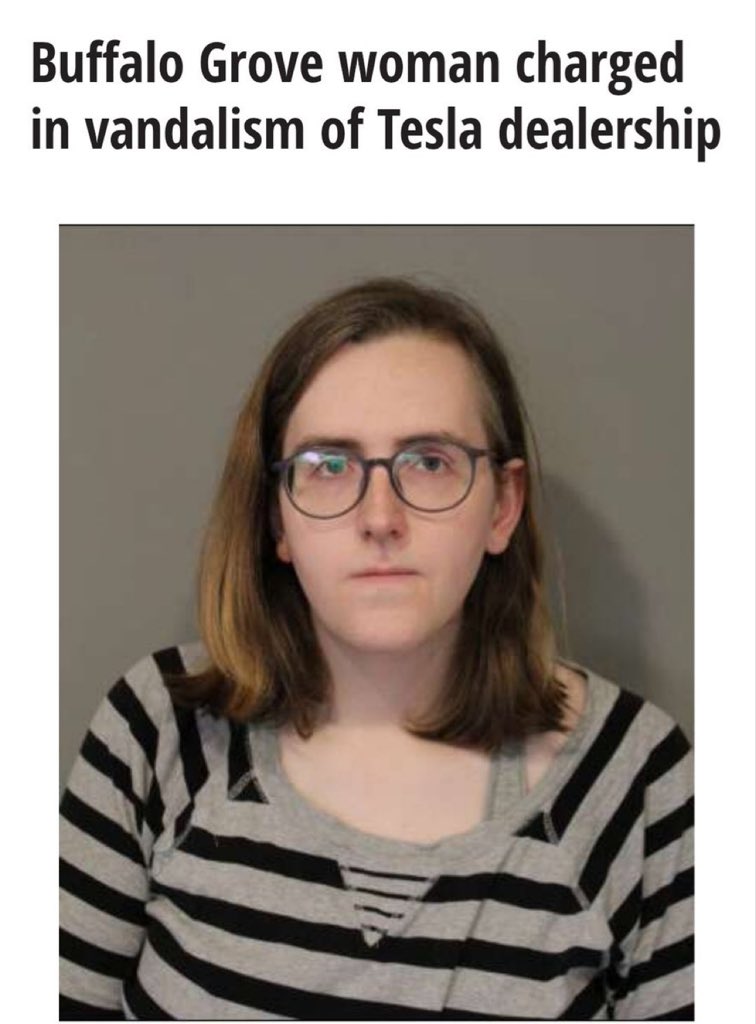 DeepIntelHQ's tweet photo. Raise your hand ✋️ if you want Erin L. White who damaged a Tesla dealership in Buffalo Grove, IL charged with Domestic Terrorism

Do you want @AGPamBondi to keep these people under arrest until this violence is stopped 

RP &amp; reply Pam Bondi will definitely see this if you do https://t.co/Vx6r5OLRsO