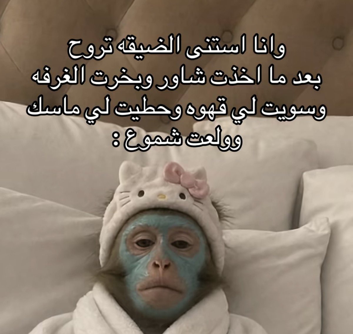 _voow's tweet photo. https://t.co/N8xgyvsRfU