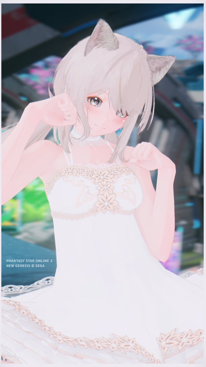 ShioN04_pso2's tweet photo. Hello。ARKS✩.*˚  マイペースに行ってみよう！ https://t.co/oN85nK4MKH