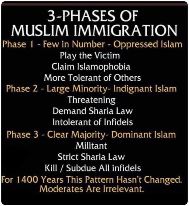 PBrodeur53064's tweet photo. It’s about time to hold people accountable for their actions it sends a clear message to ANYONE that would think of doing the same in my book all Muslim should be deported we are not compatible with their ideology to me the fact that they can lie and deceive takes all credibility away from their words