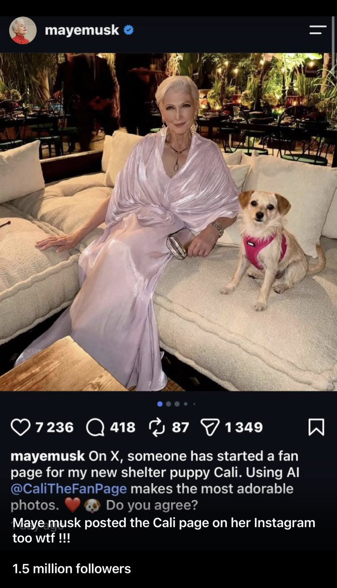 CryptoLioness66's tweet photo. MAYE MUSK JUST POSTED $CALI ON HER INSTAGRAM TO 1.5 MILLION FOLLOWERS.

SAY WHATTTTT?! 🤯🔥

MAYE. POSTED. $CALI.

Her Instagram.
Her 1.5 MILLION followers

When the woman behind the lore starts broadcasting the lore herself… YOU BETTER UNDERSTAND WHAT YOU’RE LOOKING AT. 🔥🐶 $CALI

8k4sBtEeK4pf26noKqApv8NBTnuSJcbdwpKYknk5PbAA