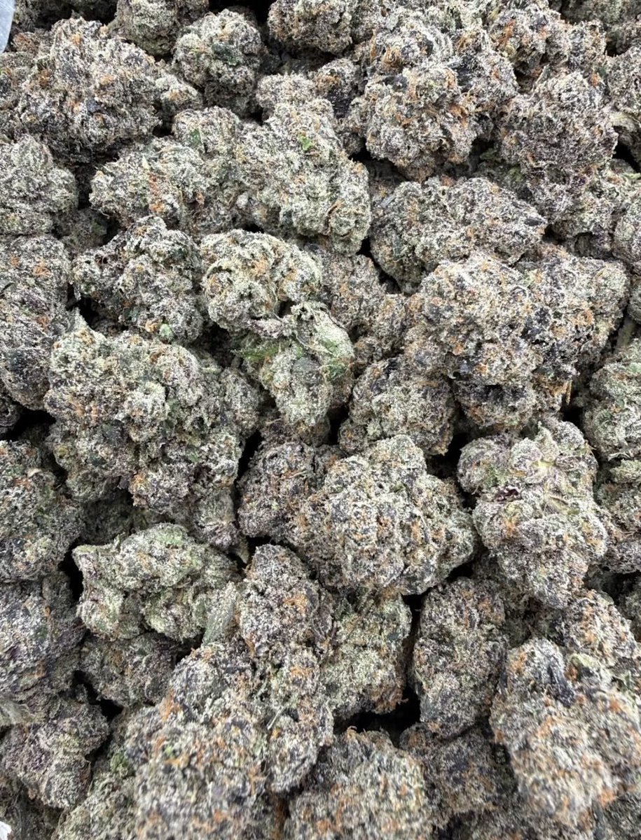 GoldenSgreens's tweet photo. FIRE SALE 🔥 

#4232 Pink Runtz

🚢 1125

📲🏋️ +1 (213) 890-7863

Dense sticky vibrant colored nugs with a clean trim job! Super unique nose that smells like bubble bath crossed with strawberry shortcake 🔥🔥🔥

#TaşacakBuDeniz #Portovelo #telavivyanıyor
#TEXASFINEST #dallas304 #usairan