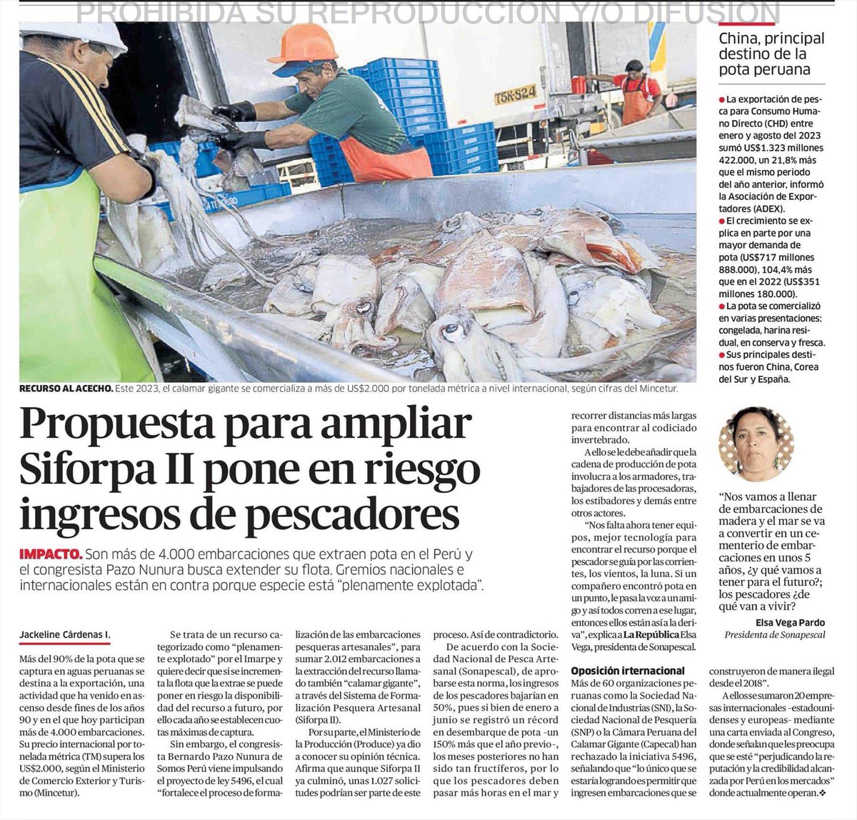 sanbedoyapardo's tweet photo. 🚨 No me sorprendería que muchos de los ahí presentes hayan sido beneficiarios del SIFORPA II, también conocido como el “REINFO pesquero”. Claudicar ante las demandas de estos “pescadores artesanales” es atentar contra la seguridad jurídica y abrirle la puerta a la pesca ilegal. https://t.co/PlyfP215hY