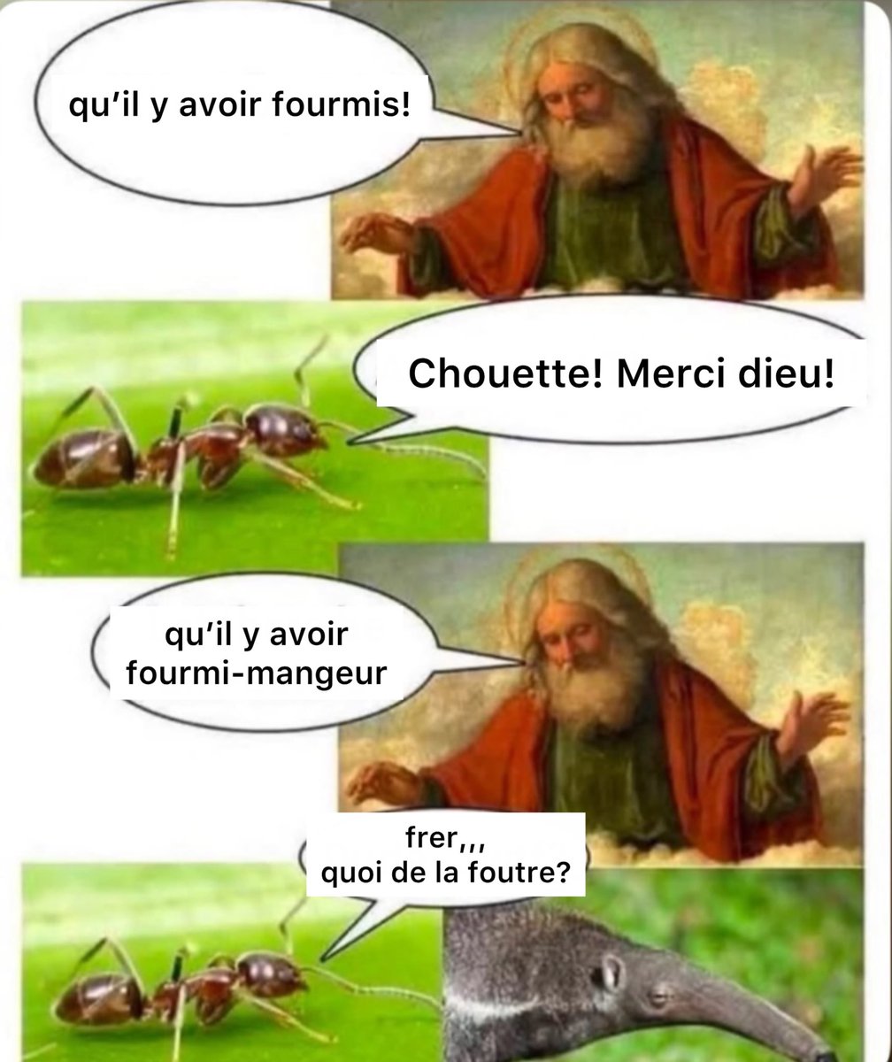 memestraduit's tweet photo. https://t.co/7ZrUJIAtdd
