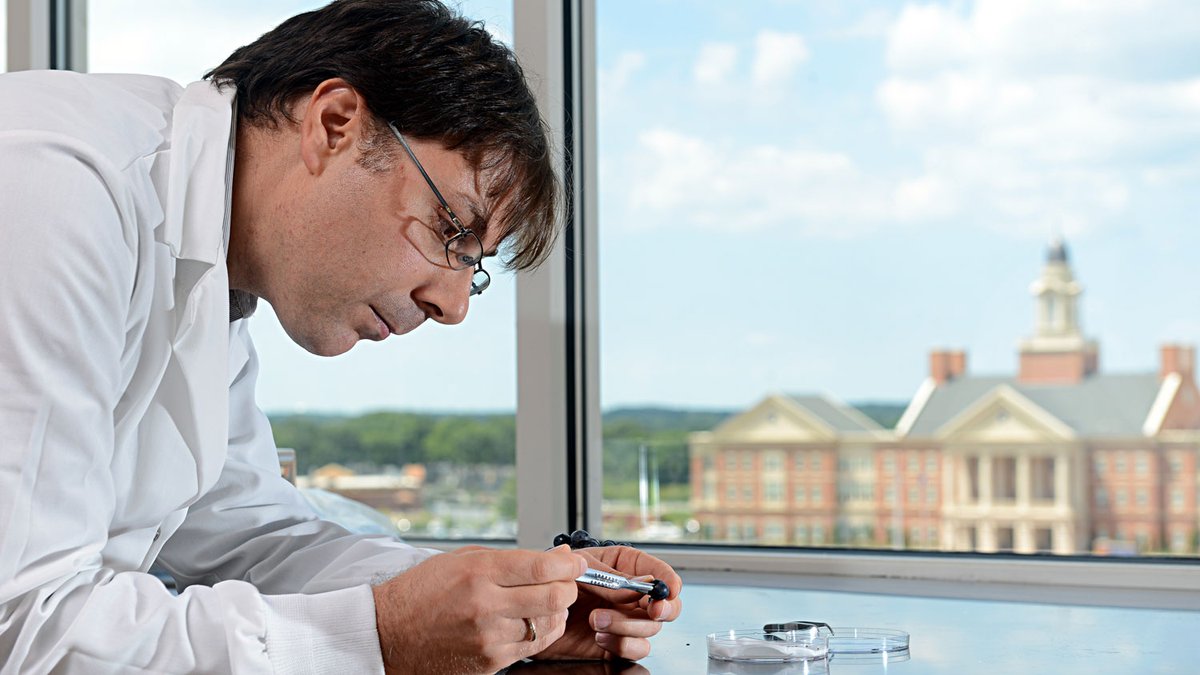 NCStateCALS's tweet photo. Massimo Iorizzo, a horticultural science professor with expertise in plant breeding, genetics and nutritional genomics of small fruit and vegetable crops, will become director of NC State's Plants for Human Health Institute, effective Oct. 1.  

🔗: https://t.co/I0CeUm0fBv https://t.co/UqMEf8Sb0j