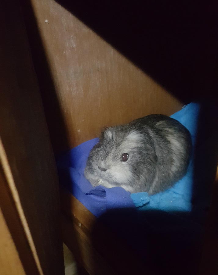 LiklFluffDragon's tweet photo. Monday memories : Visiting the wife in jail
https://t.co/nY25c5jCHw https://t.co/HfwuslE9tj