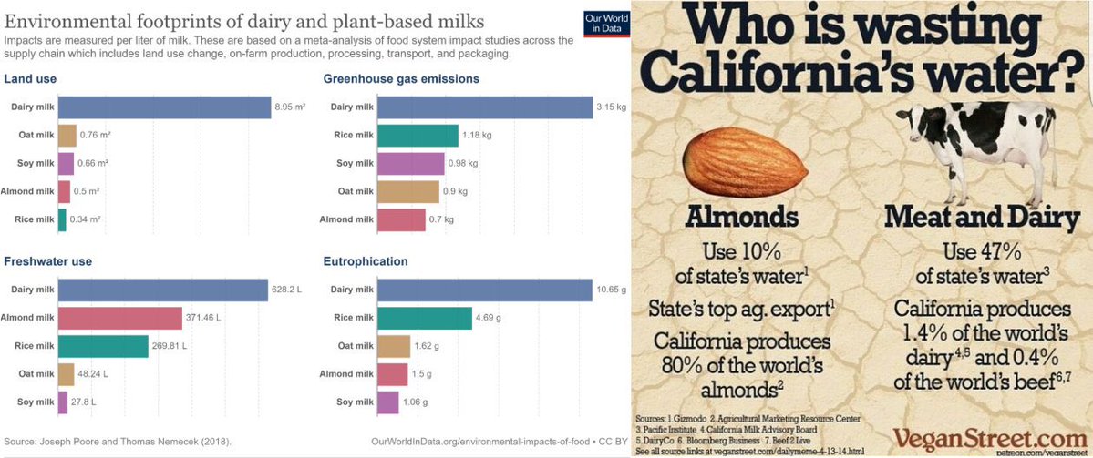 plant_xbasedx's tweet photo. If you bring up almond water use and not meat/dairy you are either a victim of propaganda or cherry-picking things you don’t care about. https://t.co/nDKI796h98