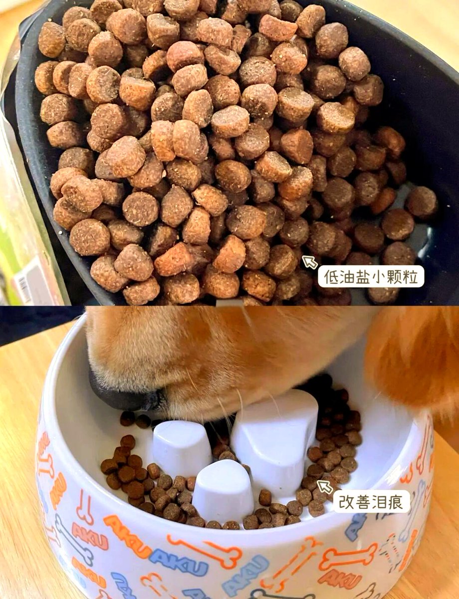 m1ch4308's tweet photo. [Today I feed my dog low-fat food on time, it wags its tail happily!]， https://t.co/48sZciKKrr
