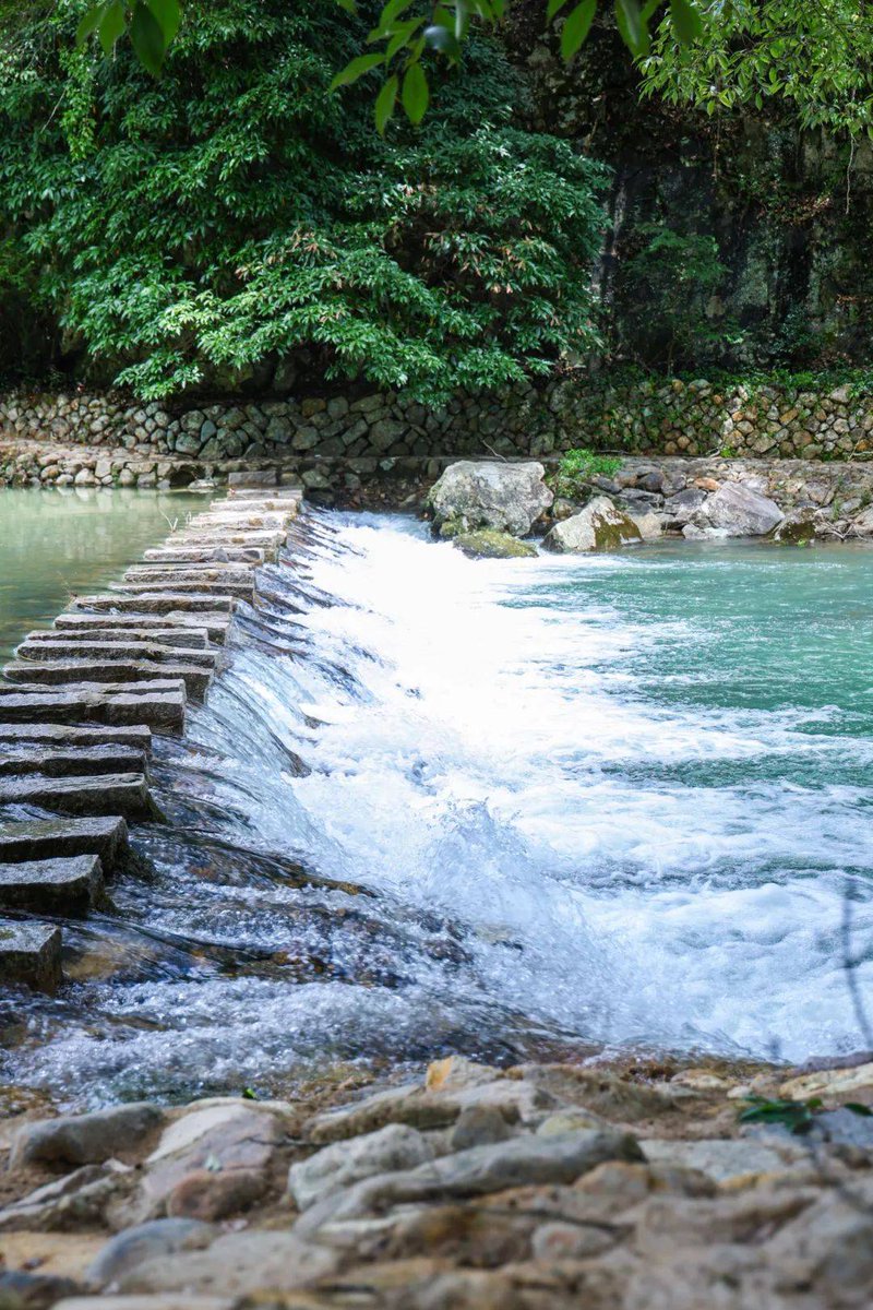 sidf6238722's tweet photo. By the stream bank, each relies on nature’s gentle flow. https://t.co/ebRv9D46Wa