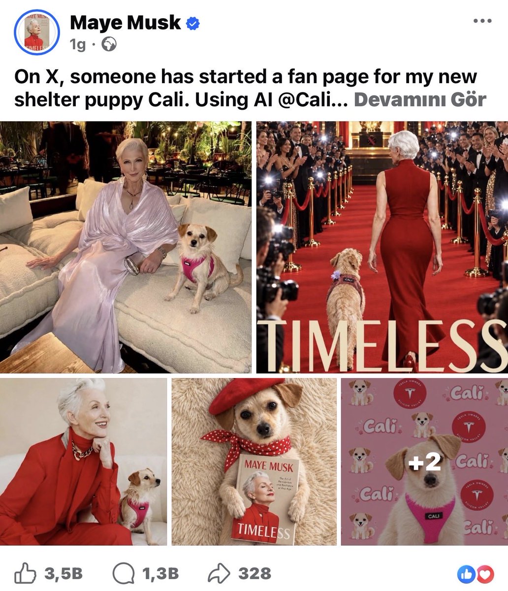 inancsalman's tweet photo. $CALI hakkında neler dönüyor İnan artık anlamıyorum.

Maye Musk’ın tüm profilleri $CALI üzerine kurulu, adeta devasa bir PR çalışması yapıyor kadın. https://t.co/gnwlYm7G23