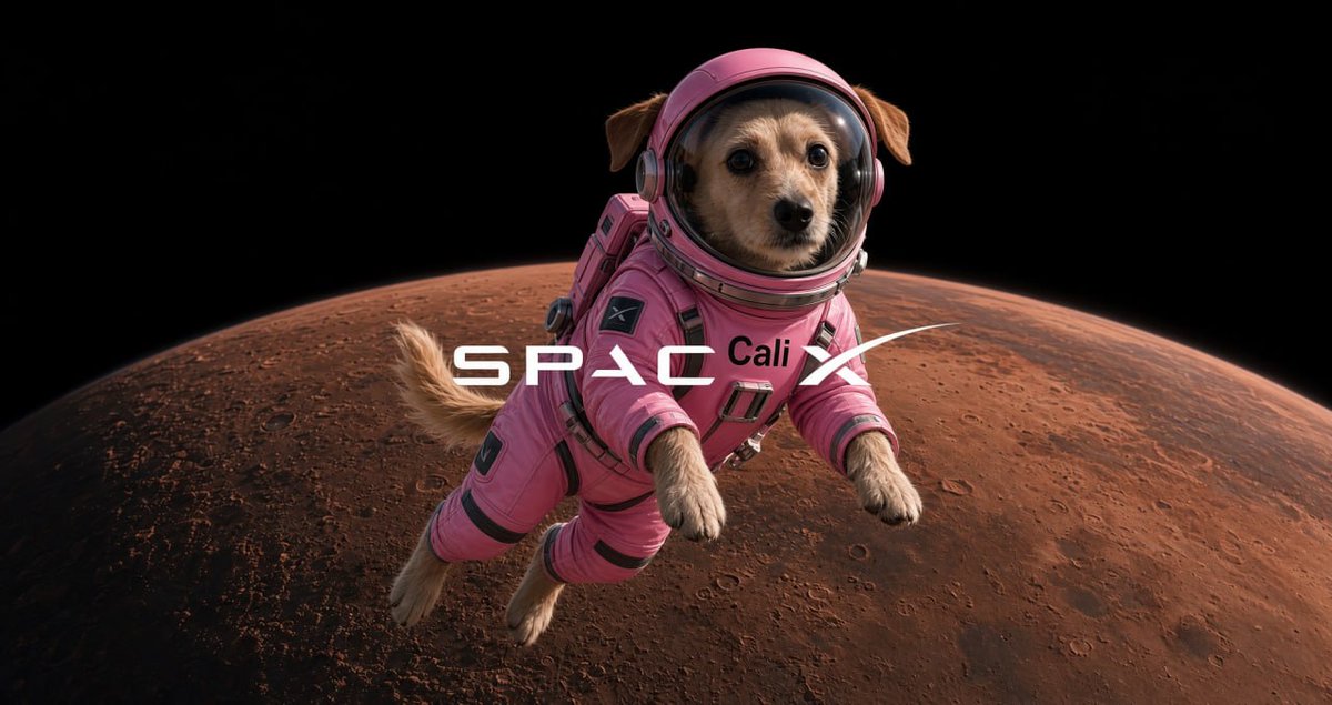 CaliTheFanpage's tweet photo. Cali has officially been cleared for liftoff. 🐶🚀🌕

Next stop: the moon. https://t.co/UZJAMEmdcP