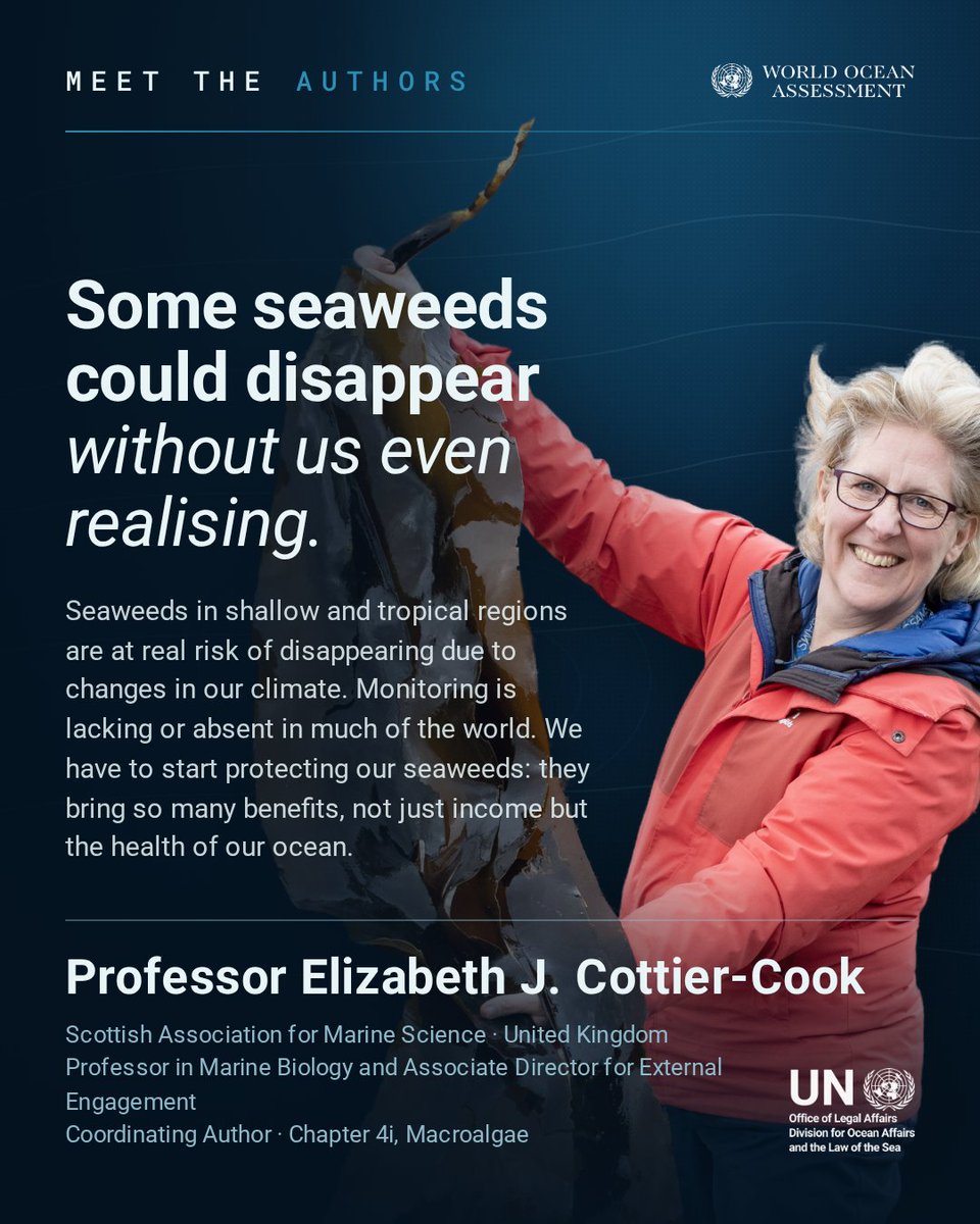 undoalos's tweet photo. Meet Professor Elizabeth Cottier-Cook of @SAMSoceannews &amp; Coordinating Author of the #WOAIII chapter on Macroalgae, developed by a team of expert authors and highlighting the importance of macroalgae to ocean health and livelihoods.

Learn more: https://t.co/KAybG2GH41 https://t.co/0738Xw5F4l