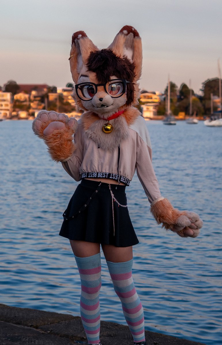 KyleThaFemboy's tweet photo. 🧡🤗🧡
#furry #fursuit #fursuiter #Femboy https://t.co/4XFKAzySiL