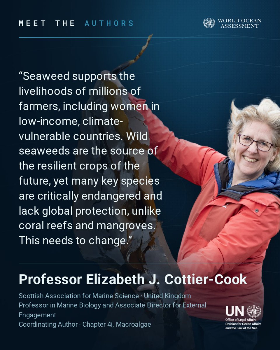 undoalos's tweet photo. Meet Professor Elizabeth Cottier-Cook of @SAMSoceannews &amp; Coordinating Author of the #WOAIII chapter on Macroalgae, developed by a team of expert authors and highlighting the importance of macroalgae to ocean health and livelihoods.

Learn more: https://t.co/KAybG2GH41 https://t.co/0738Xw5F4l