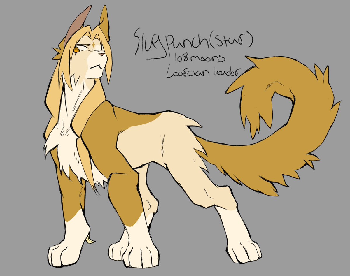 zomb0nezz's tweet photo. HAWK SCREAMMMMMMM theyre done !! the legendary sannin warrior cat au designs………. my back hurtssss lol guess whos my fav https://t.co/eg0LCc5Zqt