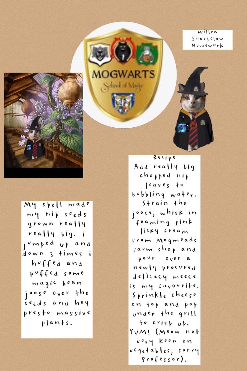 MargeyS09's tweet photo. #MWHomework @MogwartsEvents #Sharpclaw https://t.co/hjoGmImvA2