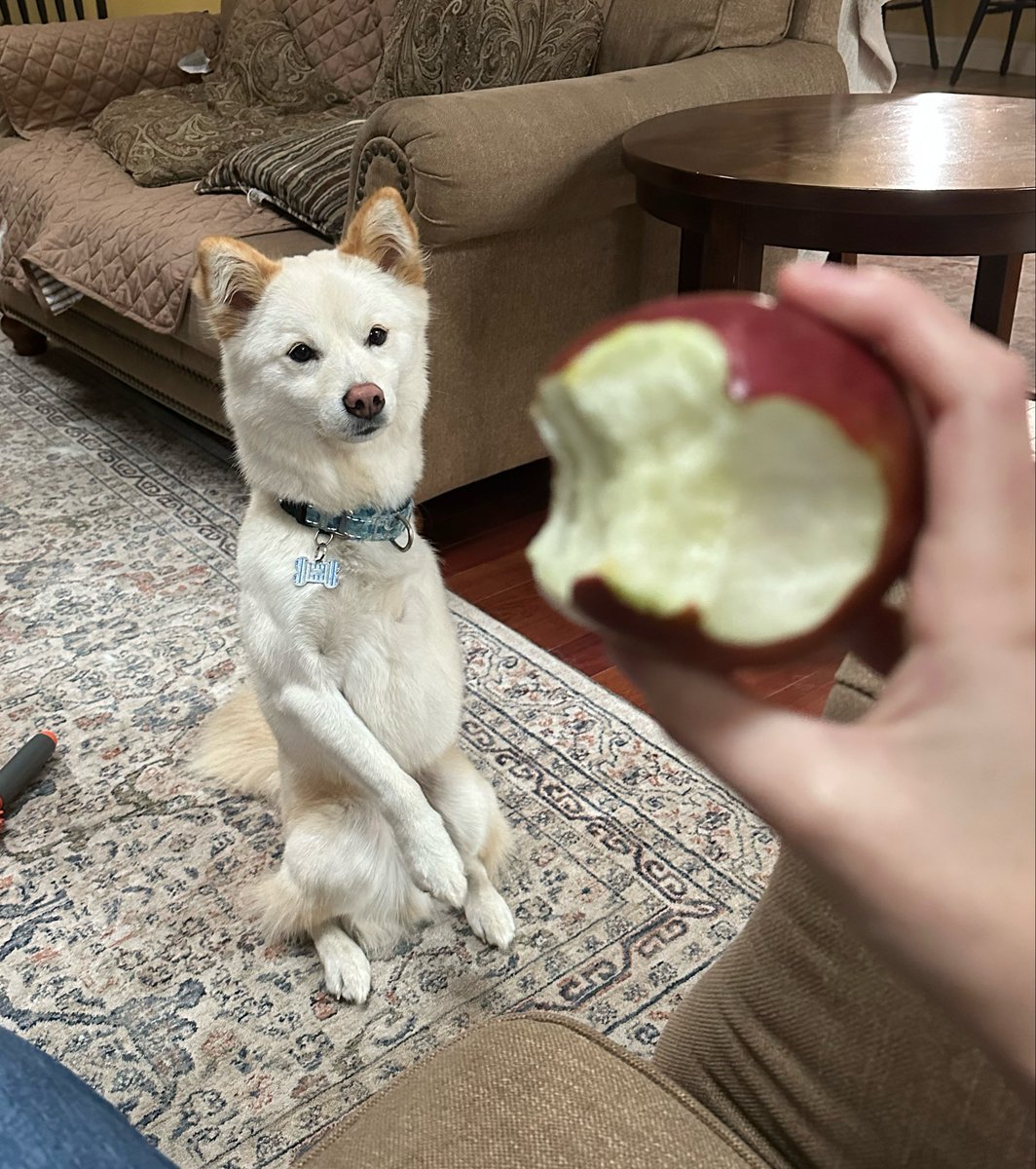 ohmeliaVGC's tweet photo. he wants it so bad https://t.co/LyDzBwNJ6s