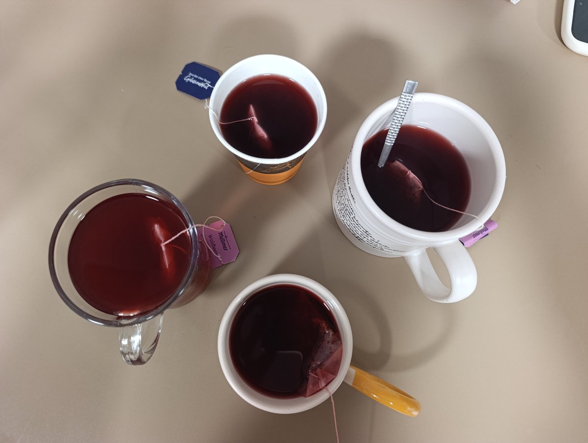 meryysunn's tweet photo. dönem açılmıştır çaylar içilmiştir https://t.co/DpSmuNy2ST
