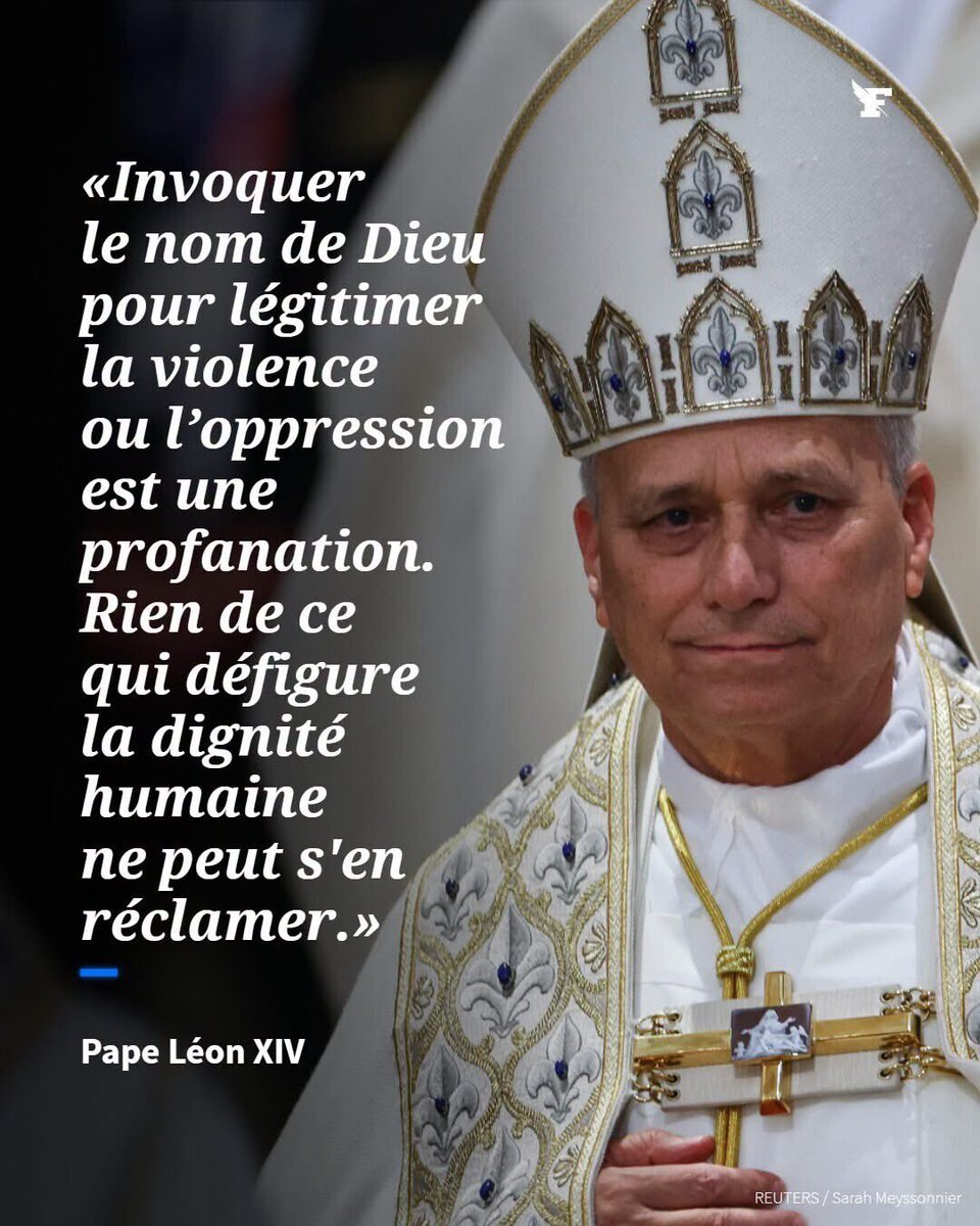 Noonours78's tweet photo. De cette génération, ne vie aujourd’hui que « Mamie », celle que veille avec amour le coq dominant comme si c’était sa mère.
La mémoire du poulailler.
La seconde génération s’est construite autour de deux coqs… « Padre » et « Tonton ».
« Padre » c’est le dominant.
Deux teigneux. https://t.co/LEGYq8ubJB