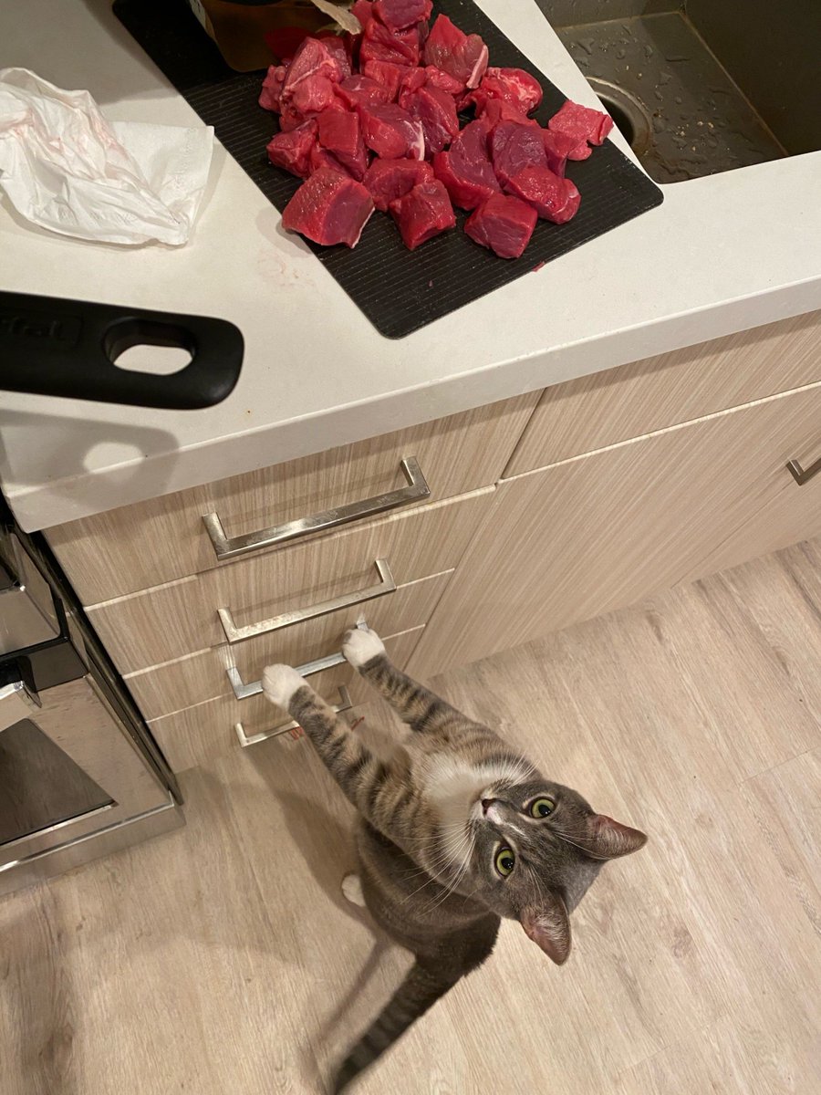 YeonjunBag's tweet photo. My cat stretched its leg, accidentally knocking over a jar of secret braised卤味 (注：卤味用拼音替代确保英文语境自然) seasoning—what a clumsy surprise! https://t.co/EBa3hdrYB3