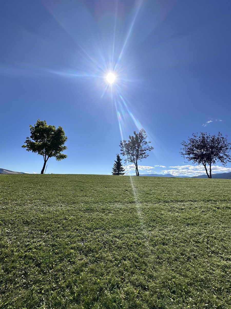 _heyItsSavannah's tweet photo. Gratitude overflowing, gorgeous day in western Montana, a lunch break-walk in park-with Moon the pug &amp; Star the Mutt https://t.co/VuczTr6E3v