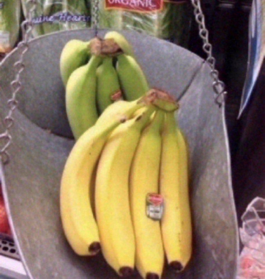 FitClubRicks's tweet photo. Fruit of day Banana 1 med 105 cal, 27g carbs, 3g fiber, 1g Protein, 14g sugar, 1g fat, With 2 protein bars 380 cal,  20g protein 32g carbs. https://t.co/b4H8CBrKd5