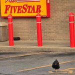 Photo by FiveStar (@FiveStarForReal)