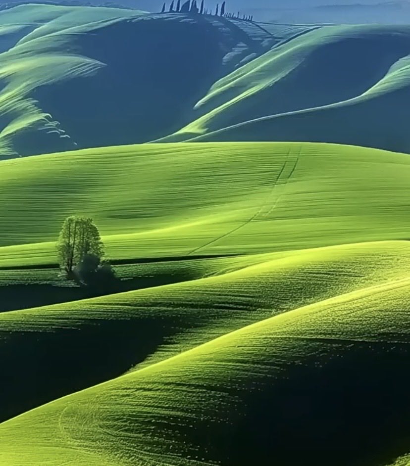 CharlieYDSong's tweet photo. @purenature_1 From Val d’Orcia in Tuscany, Italy https://t.co/RVtQKuudgA