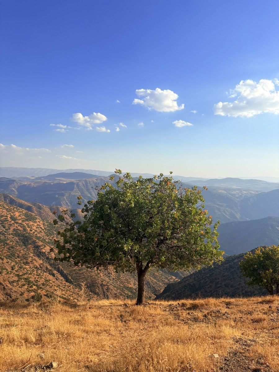 mfhuseyin's tweet photo. Oysa seni düşününce
   İçime sığmıyorsun..⛰️ https://t.co/1rJwUBPhv5