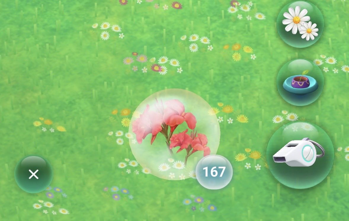 maruttomarimo's tweet photo. エキス回収したのに反映されへん…困る

#PikminBloom 
#Pikmin
#ピクミンブルーム
#ピクミン https://t.co/G4ThDa7EJ5