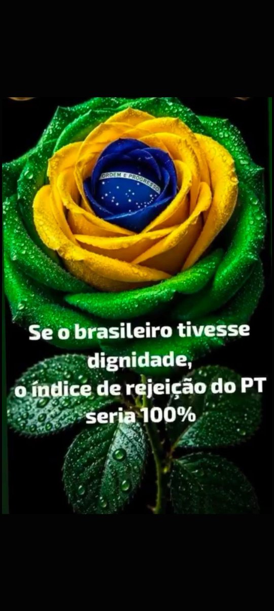 SimoneC2210's tweet photo. @ana_luizapt @DomVicenteF Qual o problema de decretar que o Brasil é de CRISTO, retardada? Não sabe nada sobre fé, e vem fazer um post idiota desse? CATÓLICOS SÃO CRISTÃOS! SER CRISTÃO SIGNIFICA SEGUIR JESUS CRISTO, CATÓLICO SEGUE JESUS CRISTO, sequelada! 🖕🏽🤪🚮
#FORALULA #BETSDOLULA #LULAFAKENEWS https://t.co/cEc9tVjFGQ