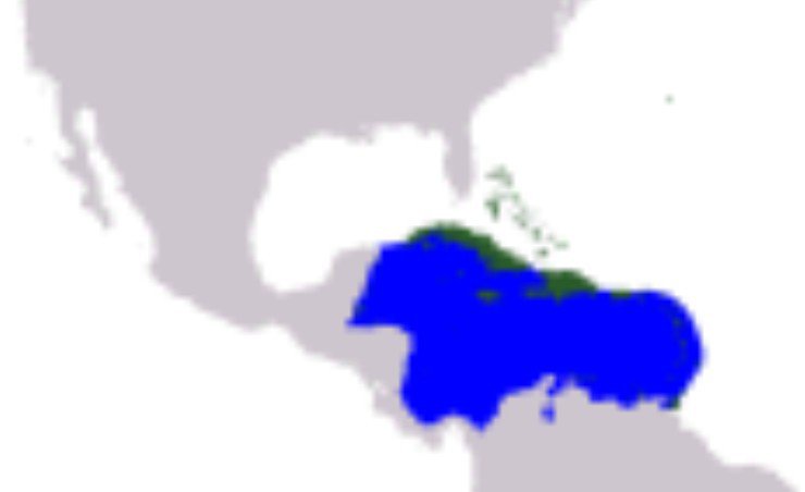 Niquelaous's tweet photo. El nombre Caribe, para denomimar al mar entre múltiples islas del continente "Americano", debemos de reemplazarlo por Mar de Perlas. El nombre Caribe viene de unos pueblos amerindios que habitaban muchas zonas de América Central y del Sur. https://t.co/3jRAsSVjcr