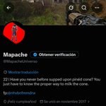 Photo by Mapache (@MapacheUniverso)