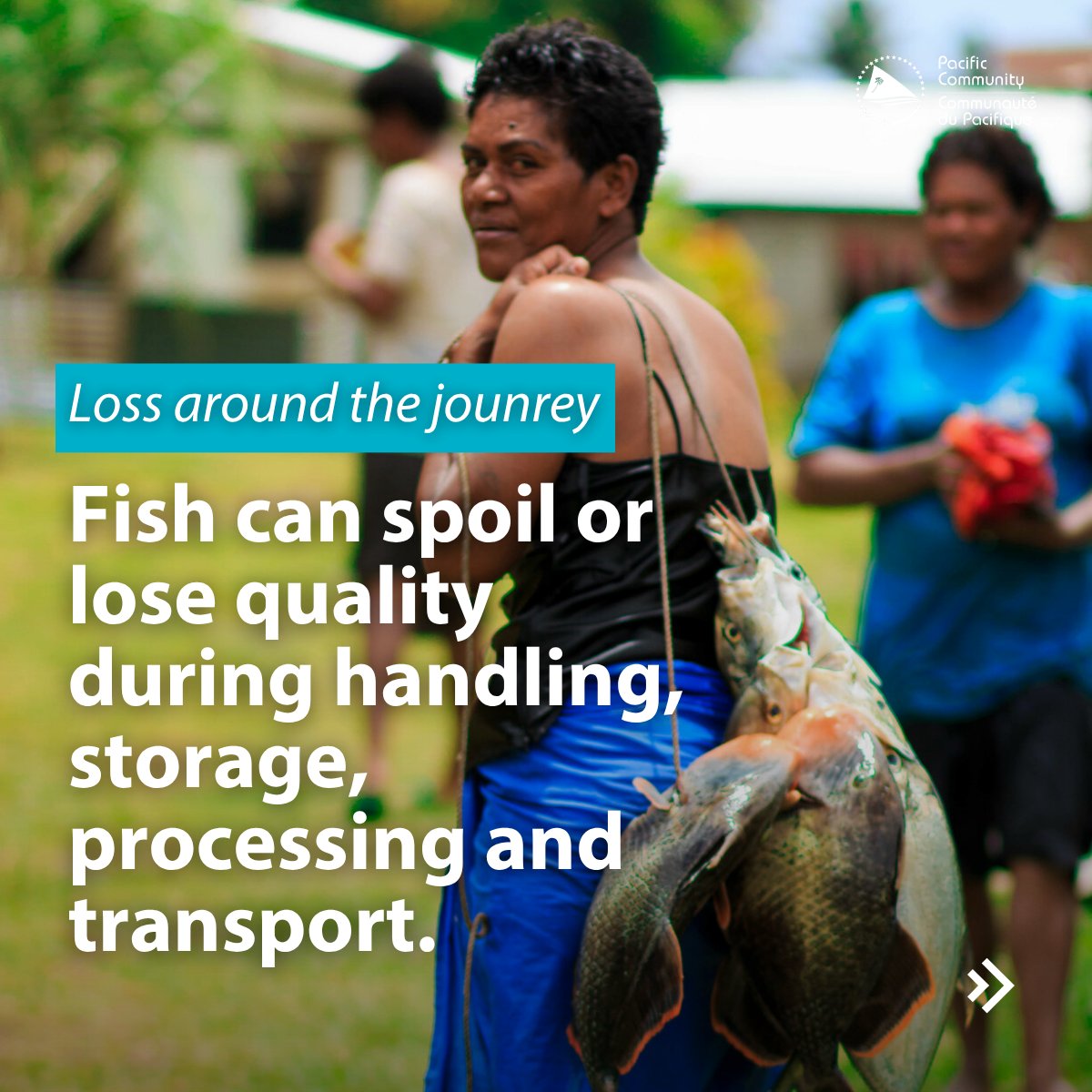 spc_cps's tweet photo. π£ ποΈ Today, for the International Day of Awareness of Food Loss and Waste, we are asking you: What is one barrier to reducing fish loss in your community or area of work?
#PEUMPII, #EuinPacific, #Eupac #Europeanunion https://t.co/OmNJyoT4ot