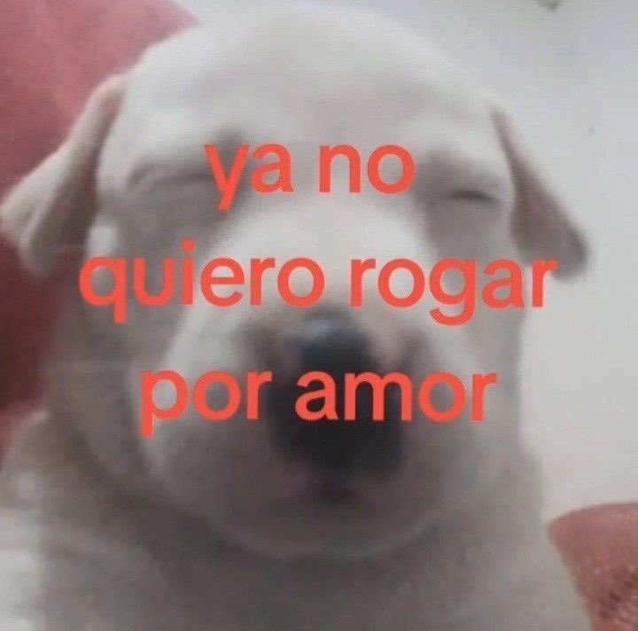 sannnttifcb's tweet photo. me ghostearon de nuebo https://t.co/sTLO3SOkqg