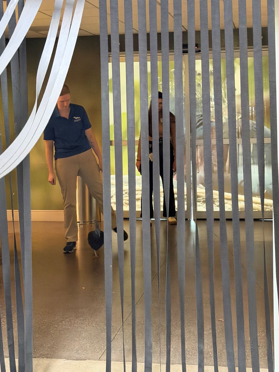 kathrwn's tweet photo. this little guy tried to escape and had to be perp walked back to his enclosure https://t.co/ojGVfdYQ0y