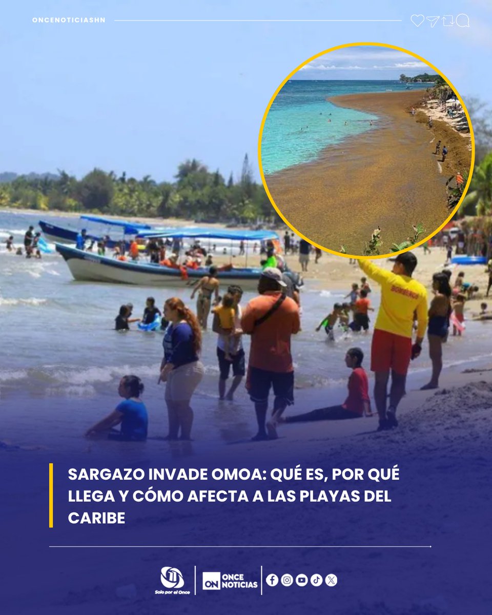 11_Noticias's tweet photo. 🪸🐬🐡Además de la contaminación visual, la invasión podría ser peligrosa para la salud, advierten expertos.⛑️🌊🪸
Lea más detalles: 👉🏻https://t.co/BWZQuJzOBw
#Sargazo #Caribe #Omoa #FeriadoMorazánico #Honduras https://t.co/Uov1FeD2Na