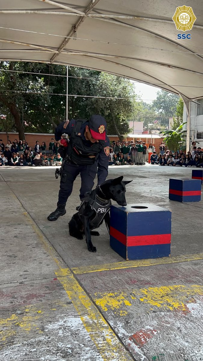PBI_SSC's tweet photo. 🎉🏫 En el marco del 50 Aniversario de la Secundaria Diurna N.° 195 #Tlamachihuapan, en la @AlcaldiaTlalpan, la #PBI de la @SSC_CDMX participó en una #FeriaDeSeguridad con actividades y juegos a través de su #StandInformativo. https://t.co/CNSnt7m1O6