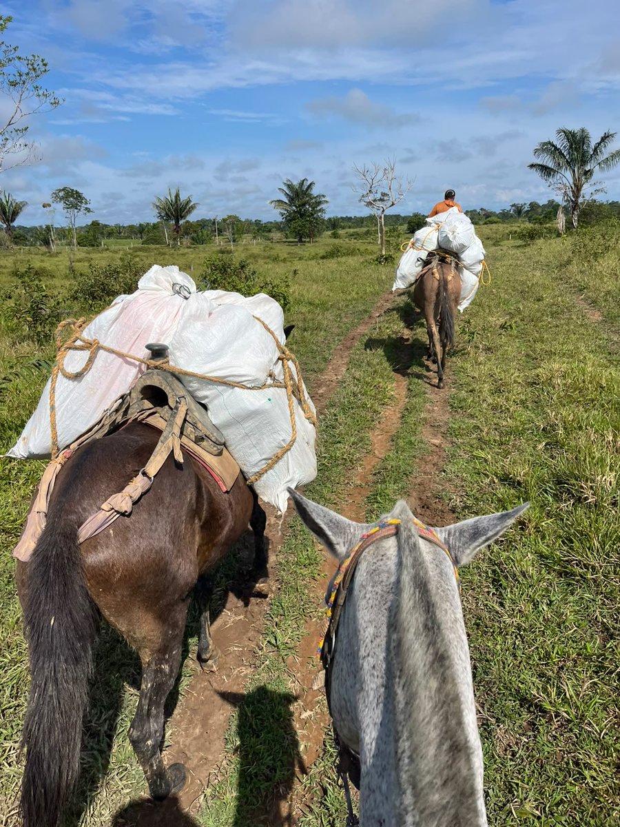 UNIAGRARIA's tweet photo. 🐴💚 UNIAGRARIA aporta al bienestar animal y al fortalecimiento de las comunidades rurales.

Esta iniciativa refleja la importancia de unir el conocimiento académico con la acción humanitaria, promoviendo el bienestar animal y el desarrollo de las comunidades rurales. 🌱 https://t.co/s12LeRsIue