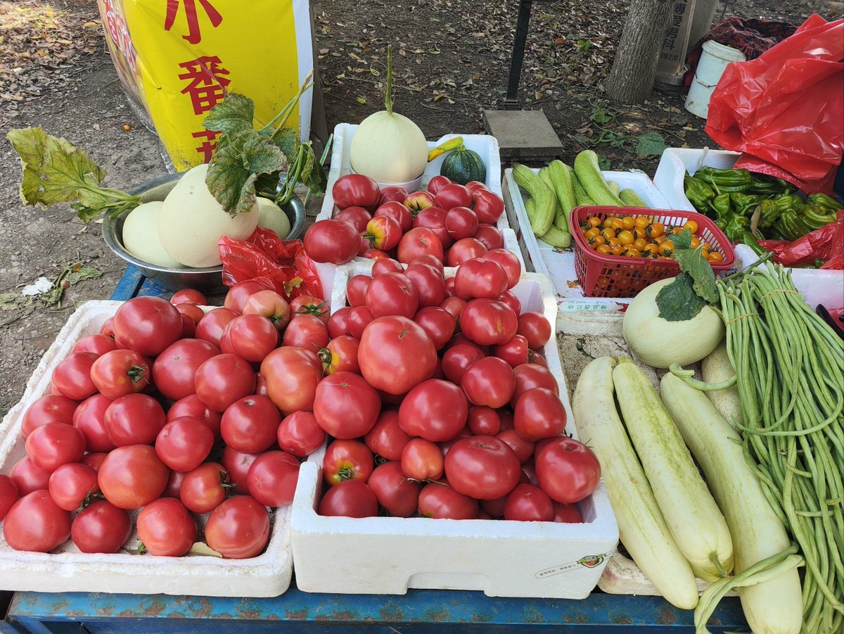 ReyMerkersfm's tweet photo. Fresh local tomatoes, organic spinach u0026 free-range eggs restocked at our neighborhood market today! Grab these quality picks for your weekend meals—they won’t last long! https://t.co/iG3sylx4xv