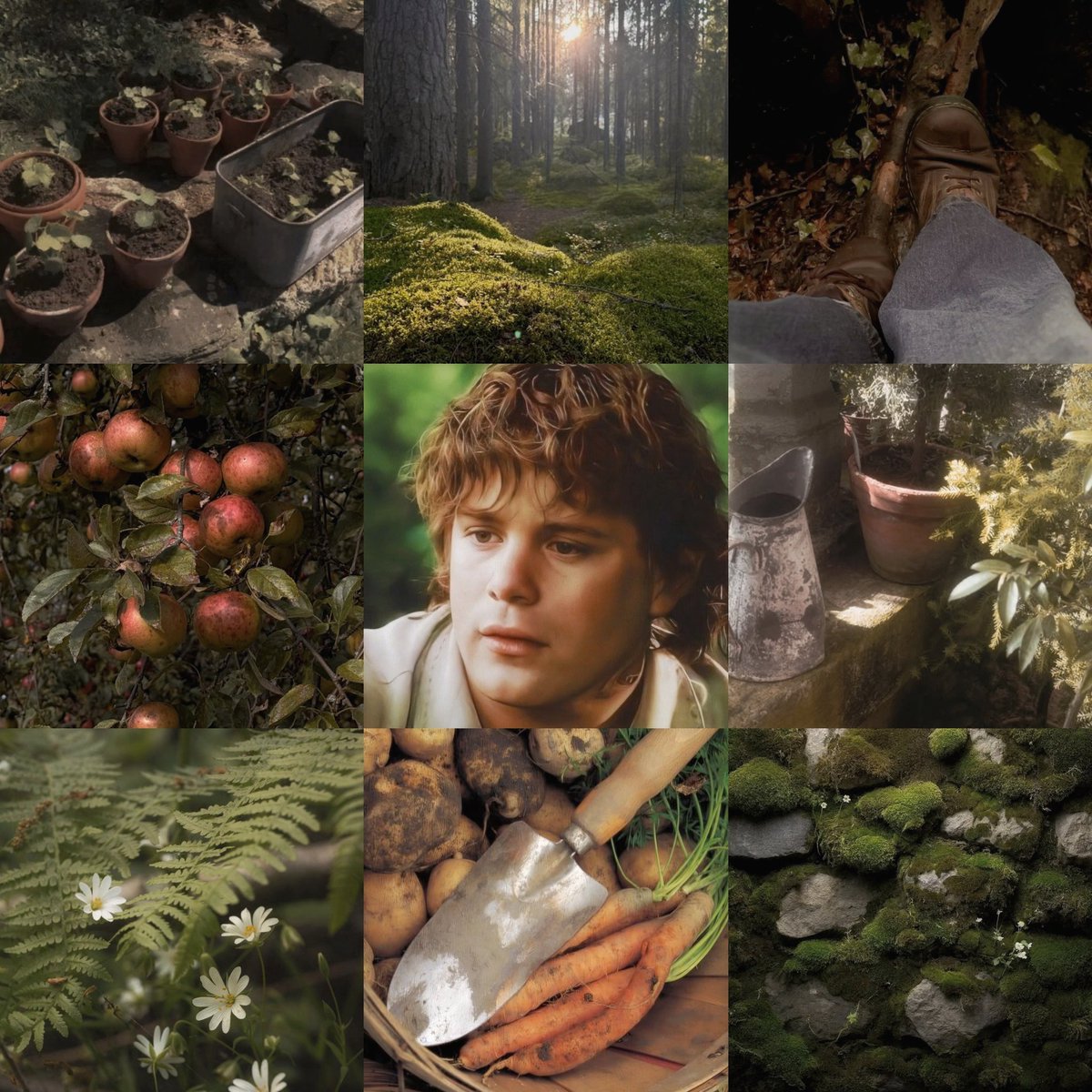 softvalar's tweet photo. samwise moodboard ₊˚ʚ 🌱 ₊˚✧ ﾟ. https://t.co/XcY4gxuyEC